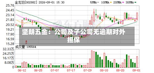 坚朗五金：公司及子公司无逾期对外担保-第2张图片
