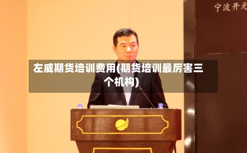 左威期货培训费用(期货培训最厉害三个机构)-第2张图片