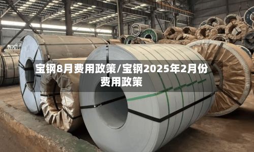 宝钢8月费用政策/宝钢2025年2月份费用政策-第3张图片