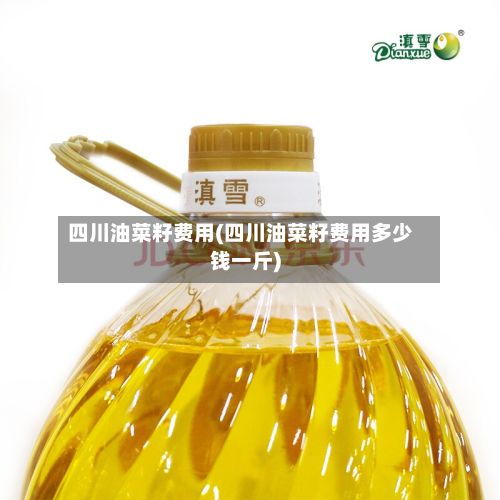 四川油菜籽费用(四川油菜籽费用多少钱一斤)