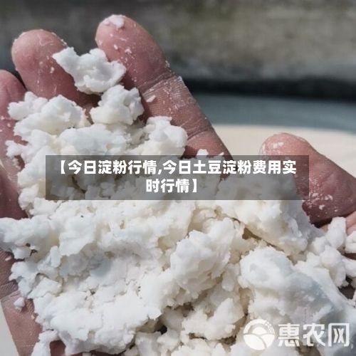 【今日淀粉行情,今日土豆淀粉费用实时行情】