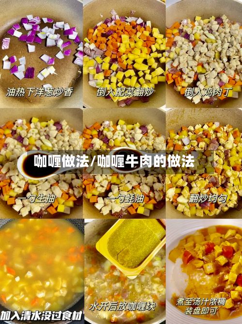 咖喱做法/咖喱牛肉的做法