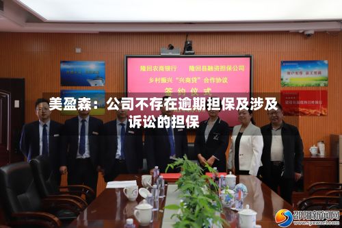 美盈森：公司不存在逾期担保及涉及诉讼的担保-第3张图片
