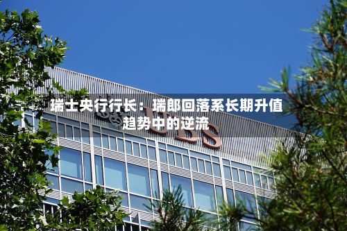 瑞士央行行长：瑞郎回落系长期升值趋势中的逆流-第2张图片