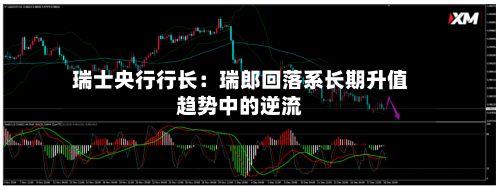 瑞士央行行长：瑞郎回落系长期升值趋势中的逆流-第3张图片