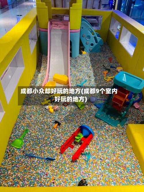 成都小众却好玩的地方(成都9个室内好玩的地方)