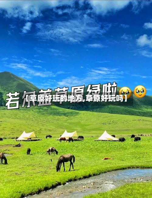 【草原好玩的地方,草原好玩吗】