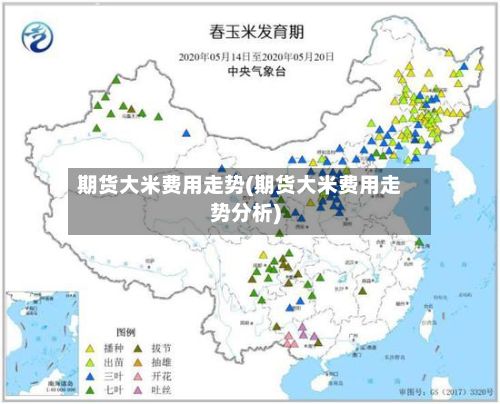 期货大米费用走势(期货大米费用走势分析)