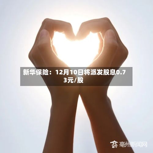 新华保险：12月10日将派发股息0.73元/股