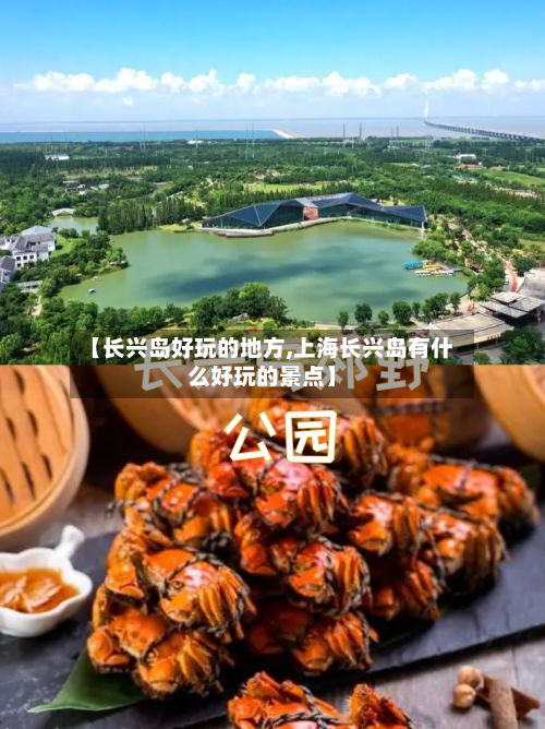 【长兴岛好玩的地方,上海长兴岛有什么好玩的景点】