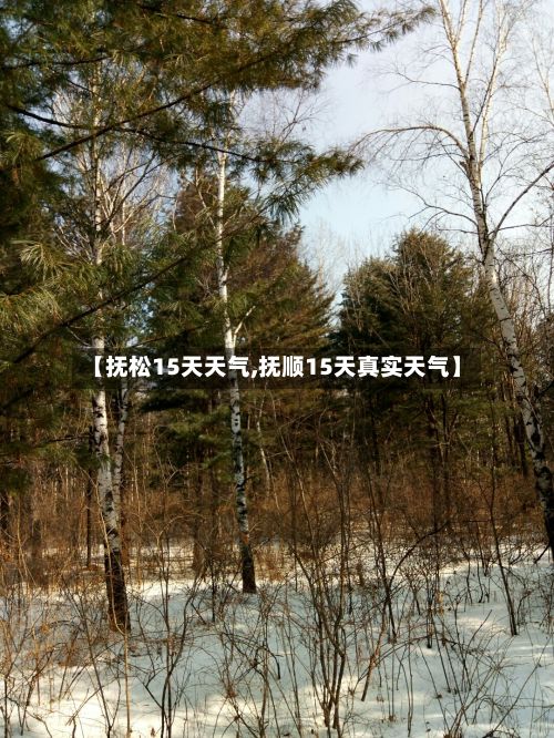 【抚松15天天气,抚顺15天真实天气】