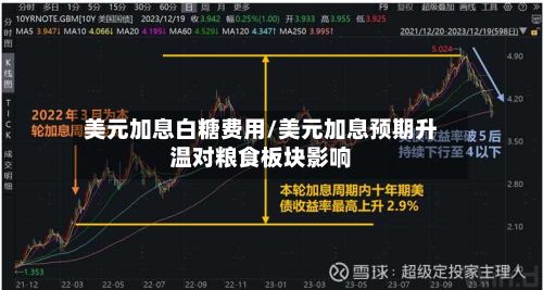 美元加息白糖费用/美元加息预期升温对粮食板块影响-第2张图片