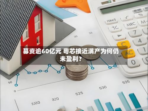 募资逾60亿元 粤芯接近满产为何仍未盈利？-第3张图片