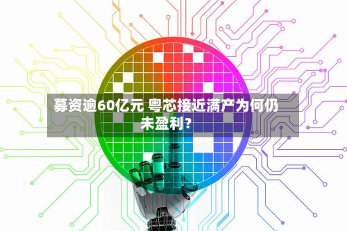 募资逾60亿元 粤芯接近满产为何仍未盈利？-第2张图片