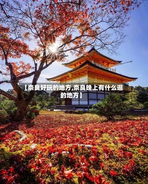 【奈良好玩的地方,奈良晚上有什么逛的地方】