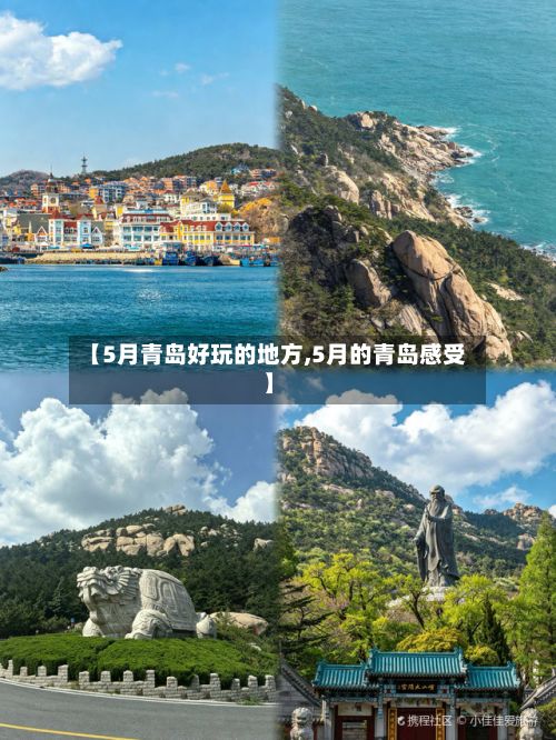 【5月青岛好玩的地方,5月的青岛感受】-第2张图片
