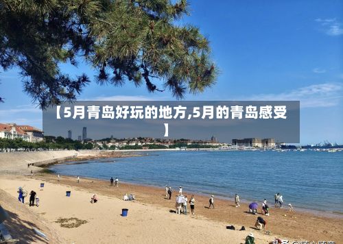 【5月青岛好玩的地方,5月的青岛感受】-第3张图片