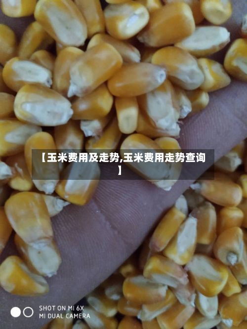【玉米费用及走势,玉米费用走势查询】