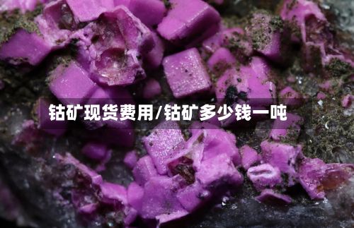 钴矿现货费用/钴矿多少钱一吨-第3张图片