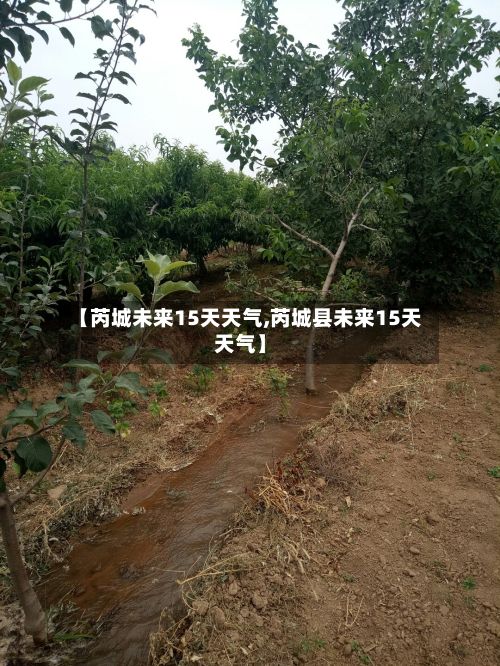 【芮城未来15天天气,芮城县未来15天天气】