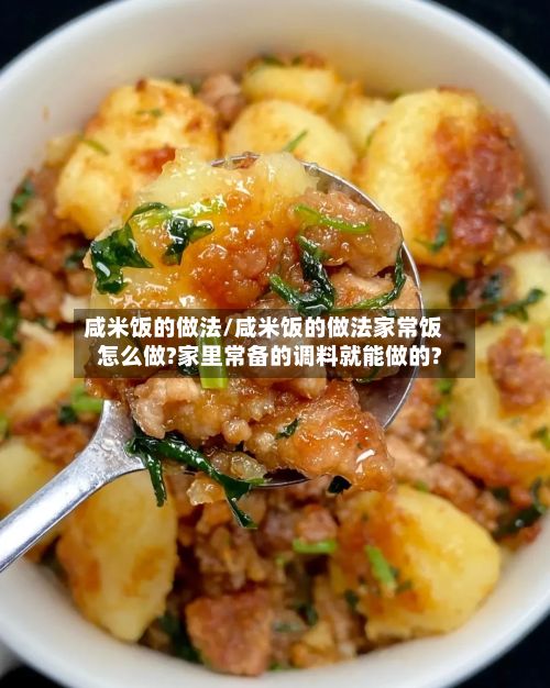 咸米饭的做法/咸米饭的做法家常饭怎么做?家里常备的调料就能做的?