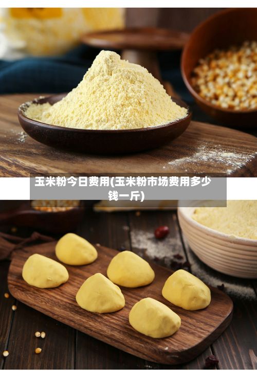 玉米粉今日费用(玉米粉市场费用多少钱一斤)-第2张图片