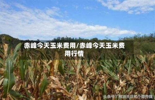 赤峰今天玉米费用/赤峰今天玉米费用行情-第2张图片