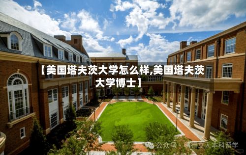 【美国塔夫茨大学怎么样,美国塔夫茨大学博士】