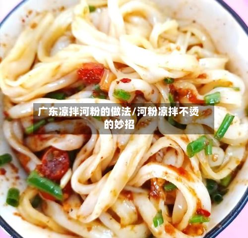 广东凉拌河粉的做法/河粉凉拌不烫的妙招