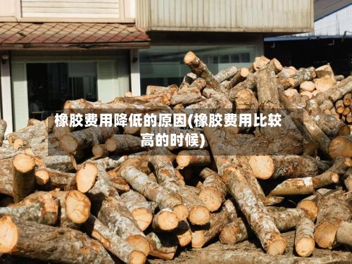 橡胶费用降低的原因(橡胶费用比较高的时候)