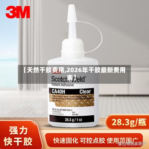 【天然干胶费用,2026年干胶最新费用表】