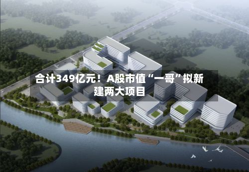 合计349亿元！A股市值“一哥	”拟新建两大项目-第2张图片