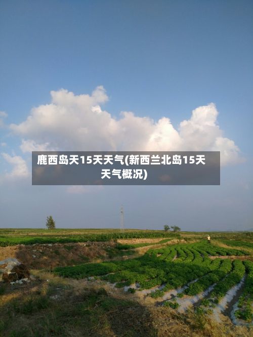 鹿西岛天15天天气(新西兰北岛15天天气概况)