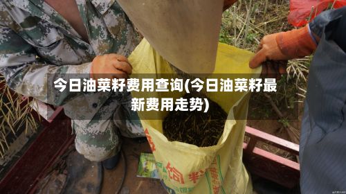 今日油菜籽费用查询(今日油菜籽最新费用走势)-第2张图片