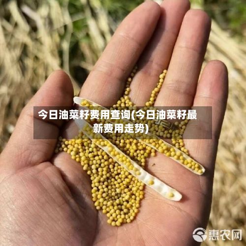 今日油菜籽费用查询(今日油菜籽最新费用走势)