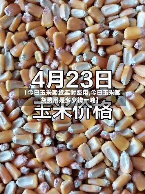 【今日玉米期货实时费用,今日玉米期货费用是多少钱一吨】