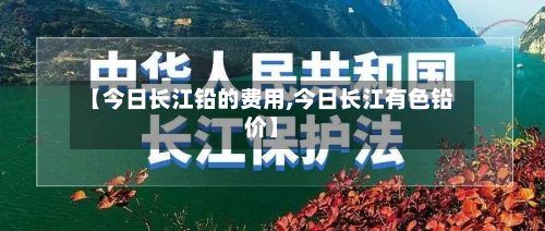 【今日长江铅的费用,今日长江有色铅价】-第2张图片