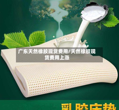 广东天然橡胶现货费用/天然橡胶现货费用上涨-第2张图片