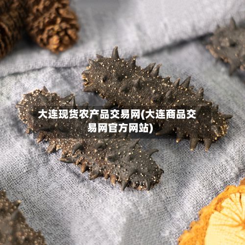 大连现货农产品交易网(大连商品交易网官方网站)