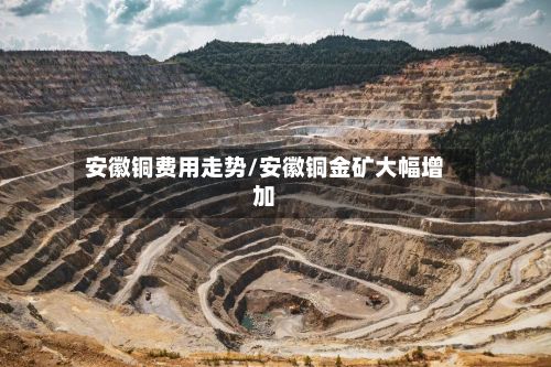 安徽铜费用走势/安徽铜金矿大幅增加