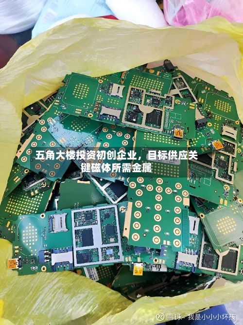五角大楼投资初创企业，目标供应关键磁体所需金属-第3张图片
