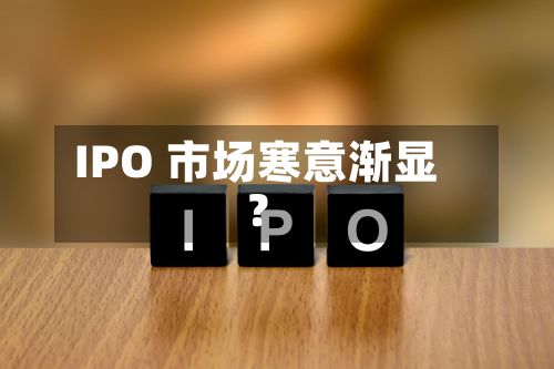 IPO 市场寒意渐显？-第2张图片