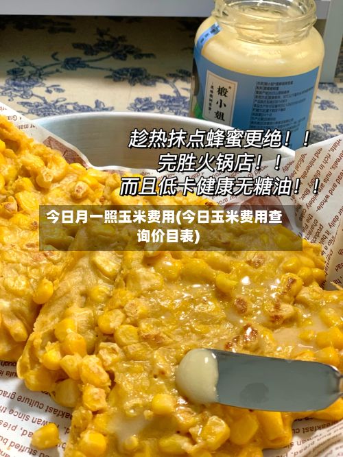 今日月一照玉米费用(今日玉米费用查询价目表)-第3张图片