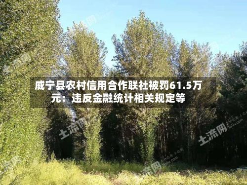 威宁县农村信用合作联社被罚61.5万元：违反金融统计相关规定等-第2张图片