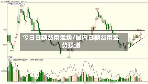 今日白糖费用走势/国内白糖费用走势预测