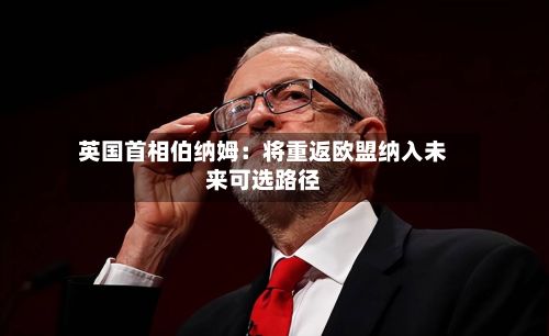 英国首相伯纳姆：将重返欧盟纳入未来可选路径-第2张图片