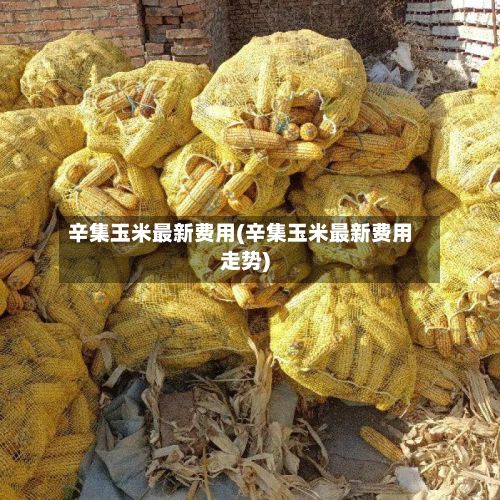 辛集玉米最新费用(辛集玉米最新费用走势)