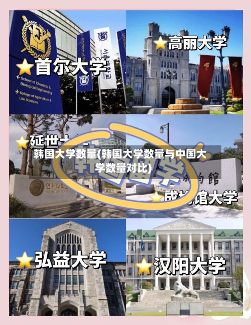 韩国大学数量(韩国大学数量与中国大学数量对比)-第2张图片