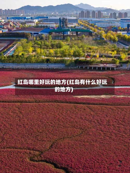 红岛哪里好玩的地方(红岛有什么好玩的地方)-第2张图片