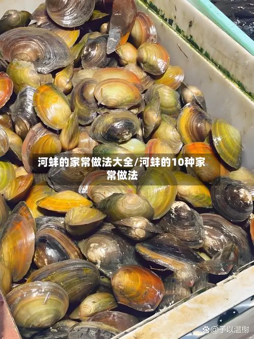 河蚌的家常做法大全/河蚌的10种家常做法
